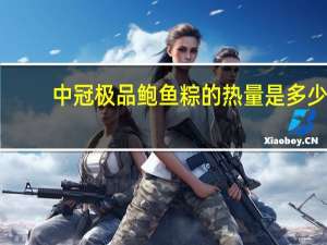中冠 极品鲍鱼粽的热量是多少