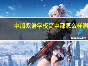 中加双语学校高中部怎么样啊