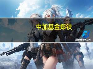 中加基金郑铁：建议投资者做好投资组合把握综合收益