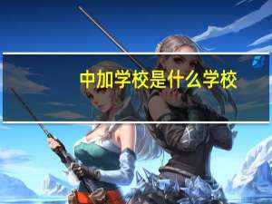 中加学校是什么学校