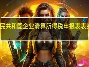 中华人民共和国企业清算所得税申报表表头项目不包括