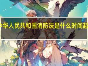 中华人民共和国消防法是什么时间起实施的