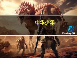 中华少年（关于中华少年的介绍）