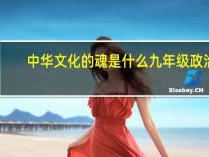 中华文化的魂是什么九年级政治