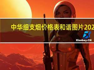 中华细支烟价格表和谐图片2022（中华细支烟价格表）