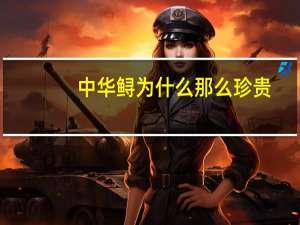 中华鲟为什么那么珍贵