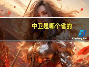 中卫是哪个省的