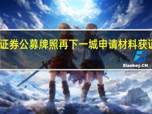 中原证券公募牌照再下一城 申请材料获证监会接受