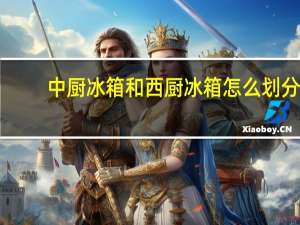 中厨冰箱和西厨冰箱怎么划分