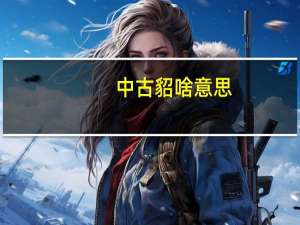 中古貂啥意思