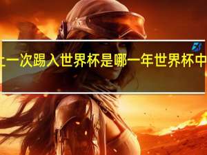 中国上一次踢入世界杯是哪一年 世界杯中国是哪一年