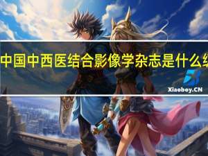 中国中西医结合影像学杂志是什么级别的