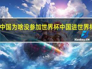 中国为啥没参加世界杯 中国进世界杯了没
