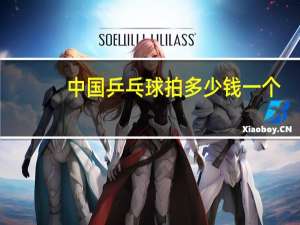 中国乒乓球拍多少钱一个