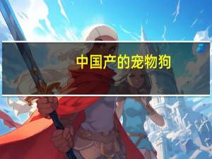 中国产的宠物狗