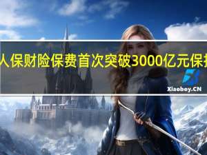 中国人保财险保费首次突破3000亿元保持行业首位
