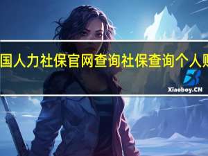 中国人力社保官网查询 社保查询个人账户查询