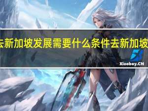 中国人去新加坡发展需要什么条件 去新加坡需要什么手续