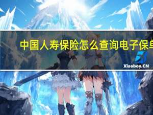 中国人寿保险怎么查询电子保单