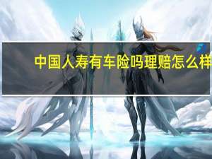 中国人寿有车险吗理赔怎么样（中国人寿有车险业务吗）