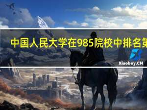 中国人民大学在985院校中排名第几