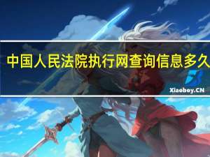 中国人民法院执行网查询信息多久更新（中国人民法院执行网）