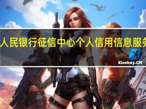 中国人民银行征信中心个人信用信息服务平台查询（中国人民银行征信中心个人信用信息服务平台）