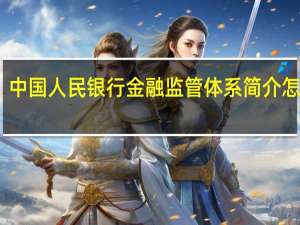 中国人民银行金融监管体系简介怎么写（中国人民银行金融监管体系简介）