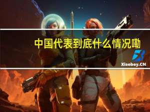 中国代表 到底什么情况嘞