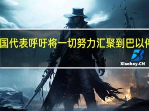 中国代表呼吁将一切努力汇聚到巴以停火止战