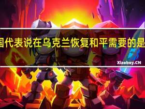 中国代表说在乌克兰恢复和平需要的是对话谈判
