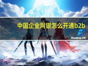 中国企业网银怎么开通b2b