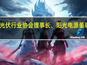 中国光伏行业协会理事长、阳光电源董事长曹仁贤：有必要警惕光储市场产能过剩
