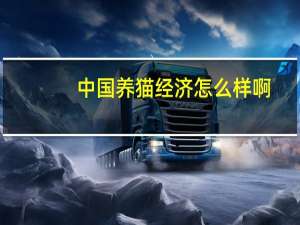 中国养猫经济怎么样啊