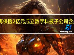 中国再保险2亿元成立数字科技子公司含多项AI业务