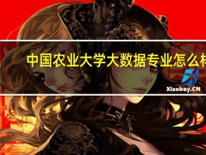 中国农业大学大数据专业怎么样