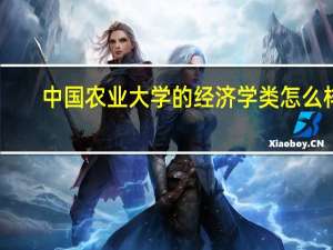 中国农业大学的经济学类怎么样