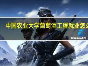 中国农业大学葡萄酒工程就业怎么样