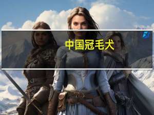 中国冠毛犬
