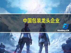 中国包装龙头企业