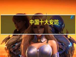中国十大安防