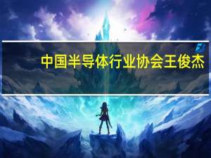 中国半导体行业协会王俊杰：当前各国都在加紧半导体领域大发展