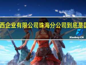 中国华西企业有限公司珠海分公司到底是国企还是私企