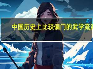 中国历史上比较偏门的武学流派