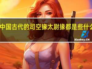 中国古代的司空掾太尉掾都是些什么职务