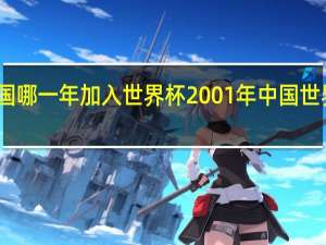 中国哪一年加入世界杯 2001年中国世界杯出线