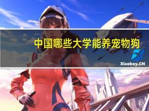 中国哪些大学能养宠物狗