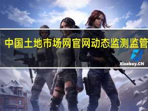 中国土地市场网官网动态监测监管系统（中国土地市场网官网）