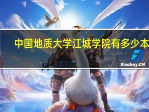 中国地质大学江城学院有多少本书？