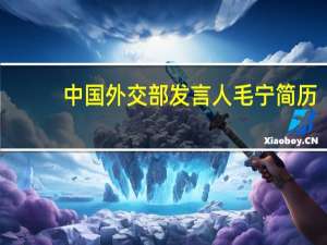 中国外交部发言人毛宁简历（中国外交部发言人）